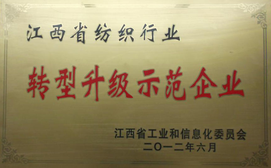 2012轉(zhuǎn)型升級示范企業(yè)