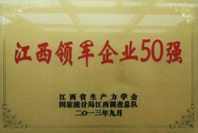 2013江西領(lǐng)軍企業(yè)50強(qiáng)